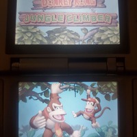 DK Jungle Climber Nintendo DS Video Game Cartridge 2007 - Thumbnail 2
