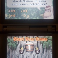 DK Jungle Climber Nintendo DS Video Game Cartridge 2007 - Thumbnail 3