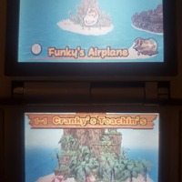 DK Jungle Climber Nintendo DS Video Game Cartridge 2007 - Thumbnail 5