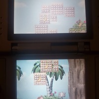 DK Jungle Climber Nintendo DS Video Game Cartridge 2007 - Thumbnail 6