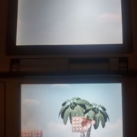 DK Jungle Climber Nintendo DS Video Game Cartridge 2007 - Thumbnail 7