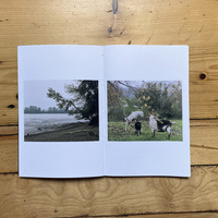 Looking for land - Thumbnail 4