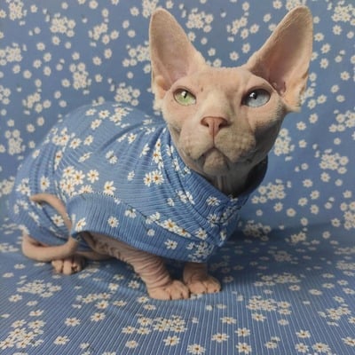 Daisy tussie-mussie - ribbed sleepwear - Thumbnail 3