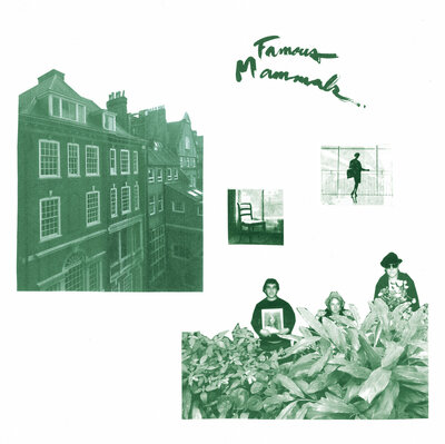 Famous Mammals "Famous Mammals" LP