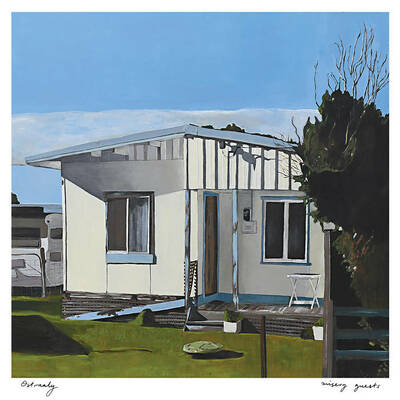 Ostraaly​ "​misery guests" lp - Thumbnail 1