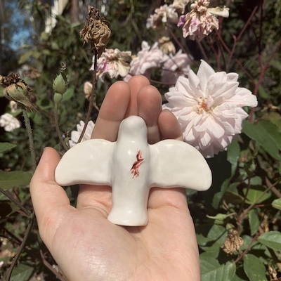 wound bird 4