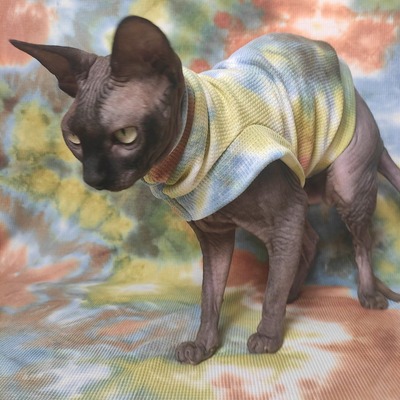 Endless fall - thermal