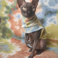 Endless Fall - Thermal - Thumbnail 1