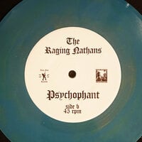 RGF-134 THE RAGING NATHANS - "BRING ME THE HEAD OF BETSY DEVOS" 7" - Thumbnail 2