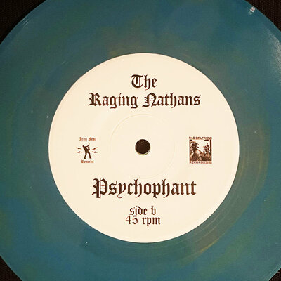 Rgf-134 the raging nathans - "bring me the head of betsy devos" 7"