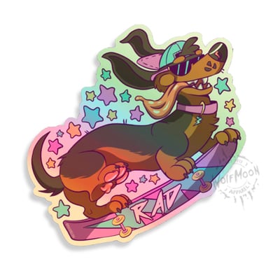 Holo sk8ter sticker