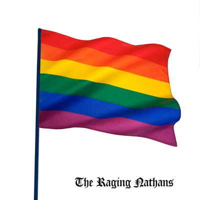 Rgf-134 the raging nathans - "bring me the head of betsy devos" 7"