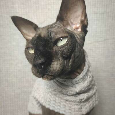 Grey skies - thermal