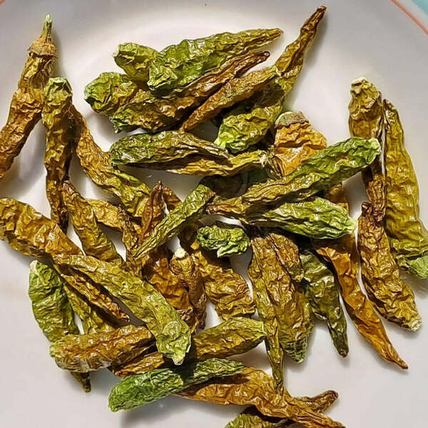 Cabai Rawit Hijau - Green Ceyenne Pepper (Capsicum frutescens L)