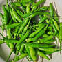 Cabai Rawit Hijau - Green Ceyenne Pepper (Capsicum frutescens L)-1