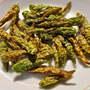 Cabai Rawit Hijau - Green Ceyenne Pepper (Capsicum frutescens L)-2