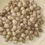 Buah Manjakani (Quercus infectoria Fruit)-1