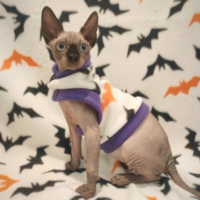 Laszlo says bat! - fleece