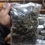 Daun Keji Beling (strobilanthes crispa Leaf)-2