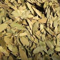 Daun Kayu Manis Kering (Cinnamon Leaf Dried)