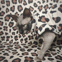 Heathered Jaguar - Sweaterknit - Thumbnail 1