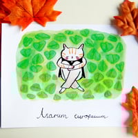 Cats with Plants+a print of your choice - Thumbnail 6