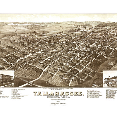 Tallahassee, florida in 1885 - bird's eye view map, aerial, panorama, vintage, antique, reproduction, giclée, fine art, wall art, history - Thumbnail 2