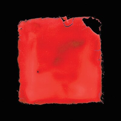 [NEW] Salvia Palth - Last Chance To See