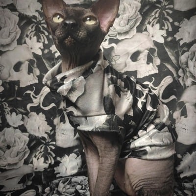 Death becomes her - velvet