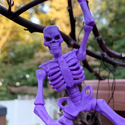 Titan skeleton - ot purple