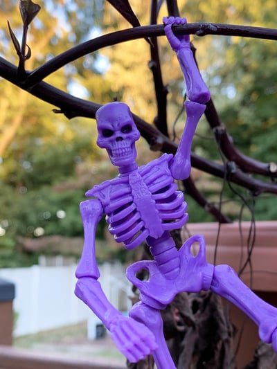 Titan Skeleton - OT Purple