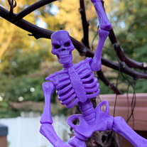 Titan Skeleton - OT Purple