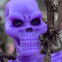 Titan Skeleton - OT Purple-1