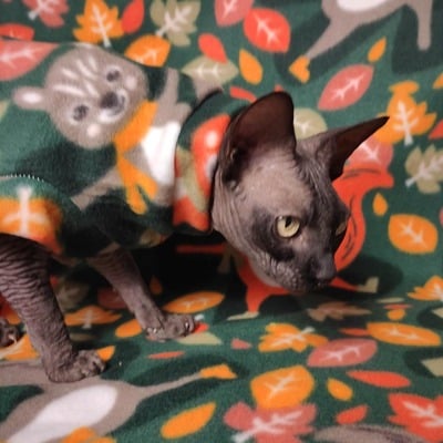 Is that a squirrel on my back? - fleece - Thumbnail 2