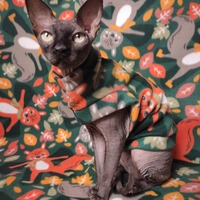 Is That A Squirrel On My Back? - Fleece - Thumbnail 1