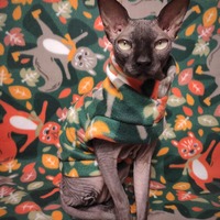 Is That A Squirrel On My Back? - Fleece - Thumbnail 2