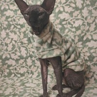 The Ivy - Luxe Fleece - Thumbnail 1