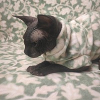 The Ivy - Luxe Fleece - Thumbnail 2