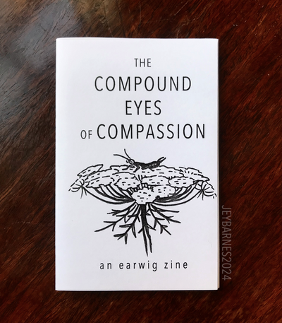 The Compound Eyes of Compassion (mini zine)
