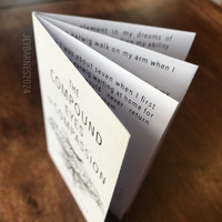 The Compound Eyes of Compassion (mini zine) - Thumbnail 1