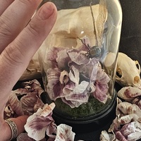 Ebenrude - Thumbnail 2