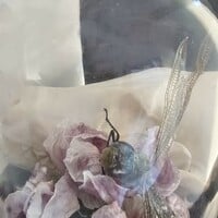 Ebenrude - Thumbnail 3