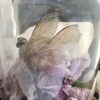 Ebenrude - Thumbnail 4