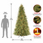 Tiffany Fir Slim Tree with Clear Lights-4