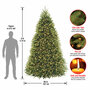 Dunhill Fir Tree with Clear Lights-3