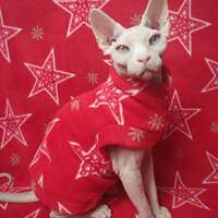 Pentaflake - Luxe Fleece - Thumbnail 1