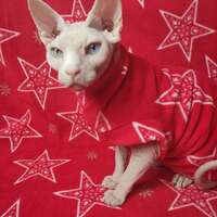 Pentaflake - Luxe Fleece - Thumbnail 2