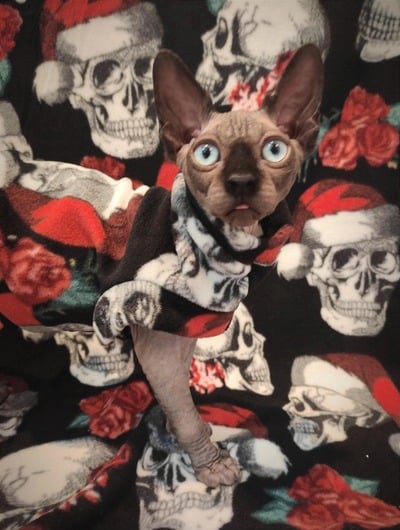 Santa Is Dead - Luxe Fleece