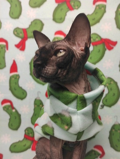 Christmas Pickle - Fleece