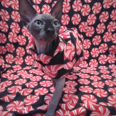 Pinwheels - luxe fleece